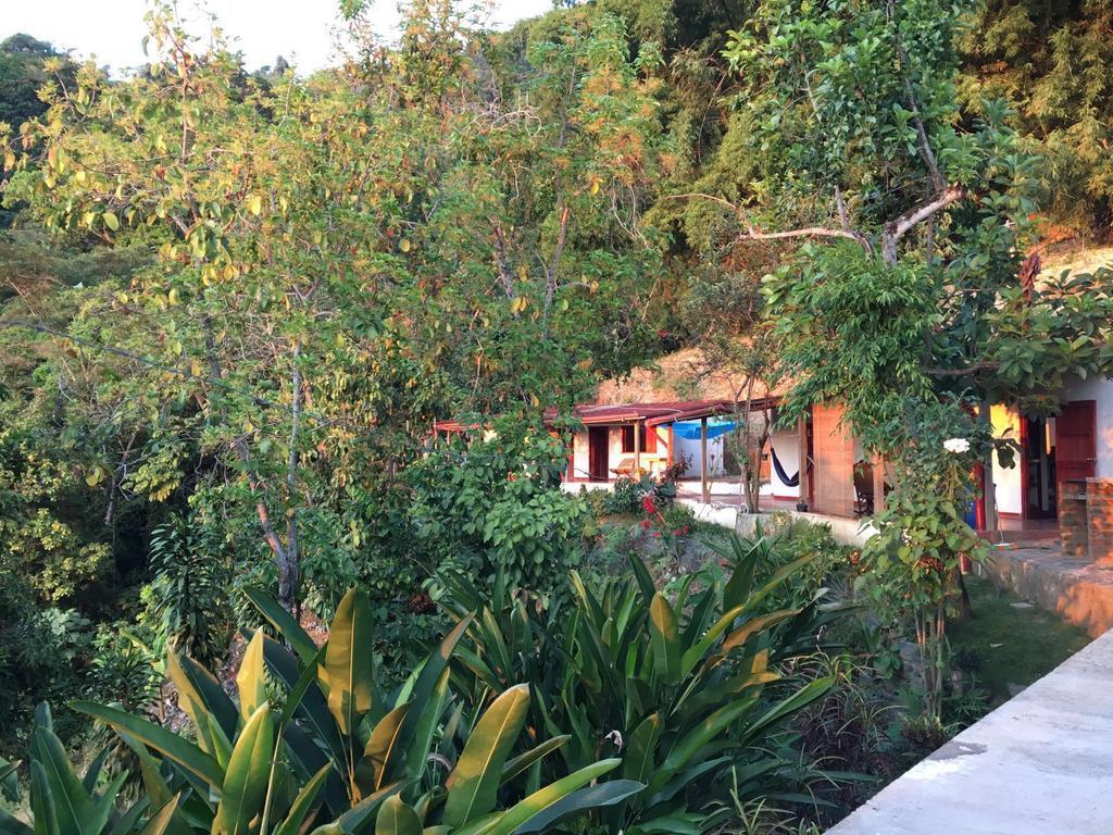 Finca San Rafael - Cafe Y Cacao Minca Exteriér fotografie