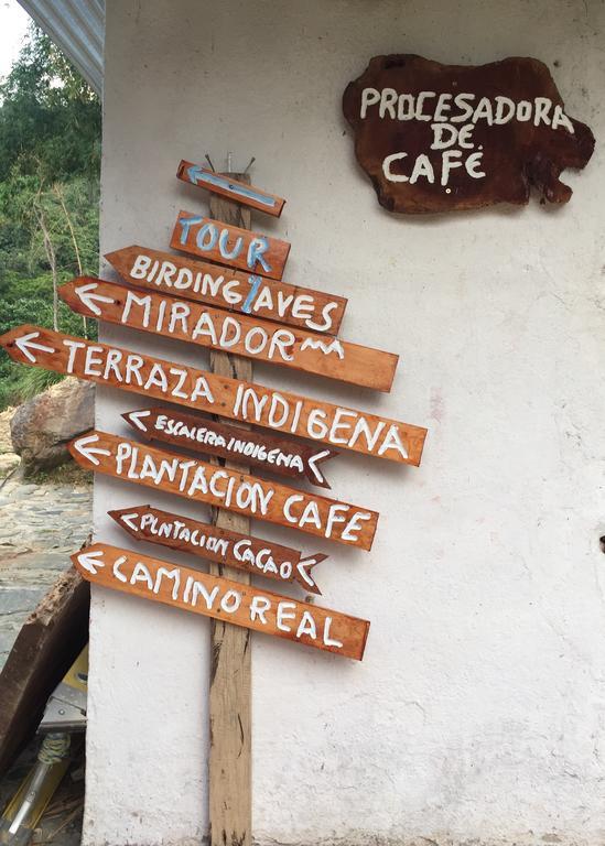 Finca San Rafael - Cafe Y Cacao Minca Exteriér fotografie