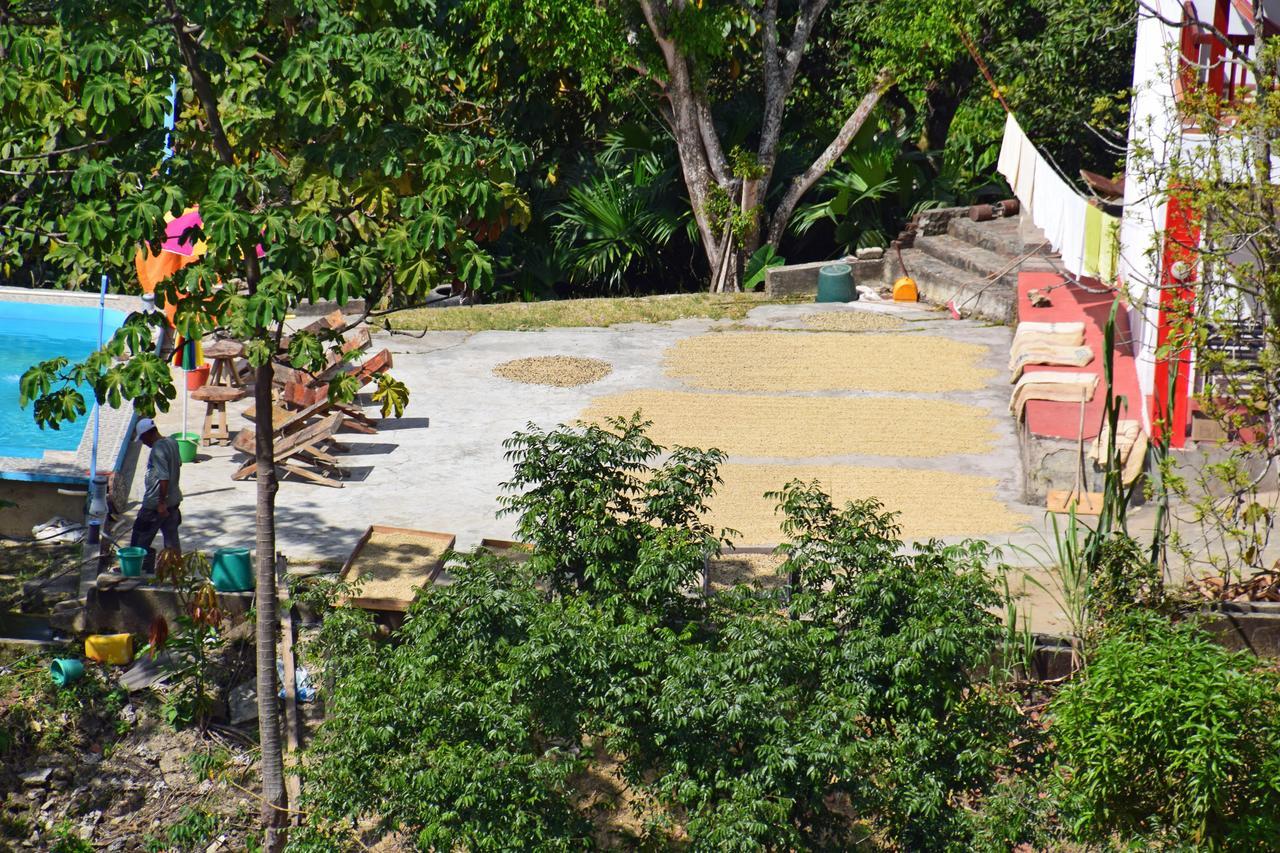 Finca San Rafael - Cafe Y Cacao Minca Exteriér fotografie
